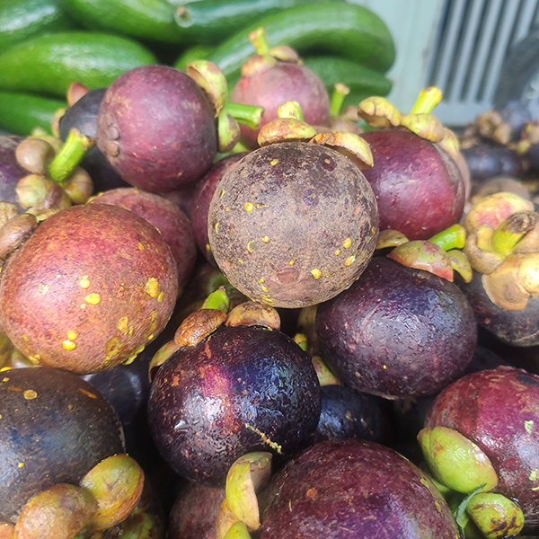 Măng cụt